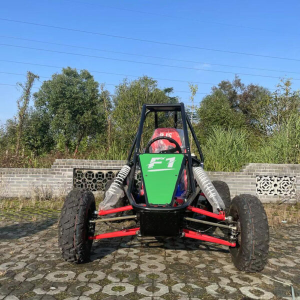 Private Label Go Kart 180cc/350cc Gasoline Off-Road Independent Suspension Single Seat Car