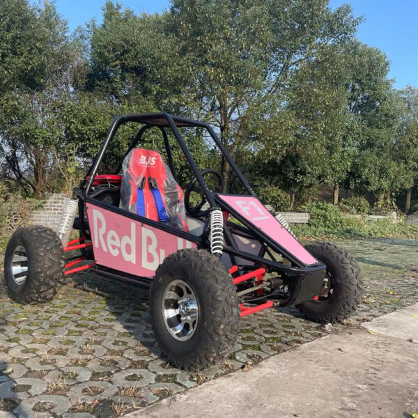 Private Label Go Kart 180cc/350cc Gasoline Off-Road Independent Suspension Single Seat Car - Image 4