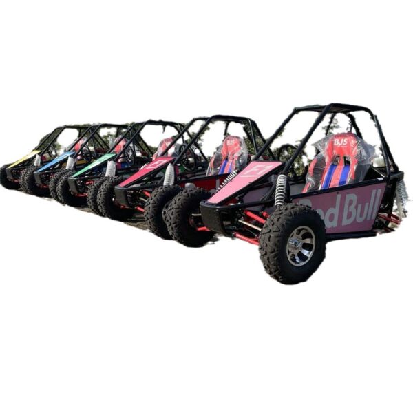 Private Label Go Kart 180cc/350cc Gasoline Off-Road Independent Suspension Single Seat Car - Image 5