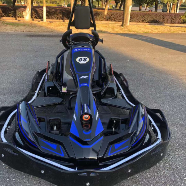 Go Kart Manufacturer 60 Hour Electric Outdoor Competitive Drifting Go-Kart Site Business - Image 2